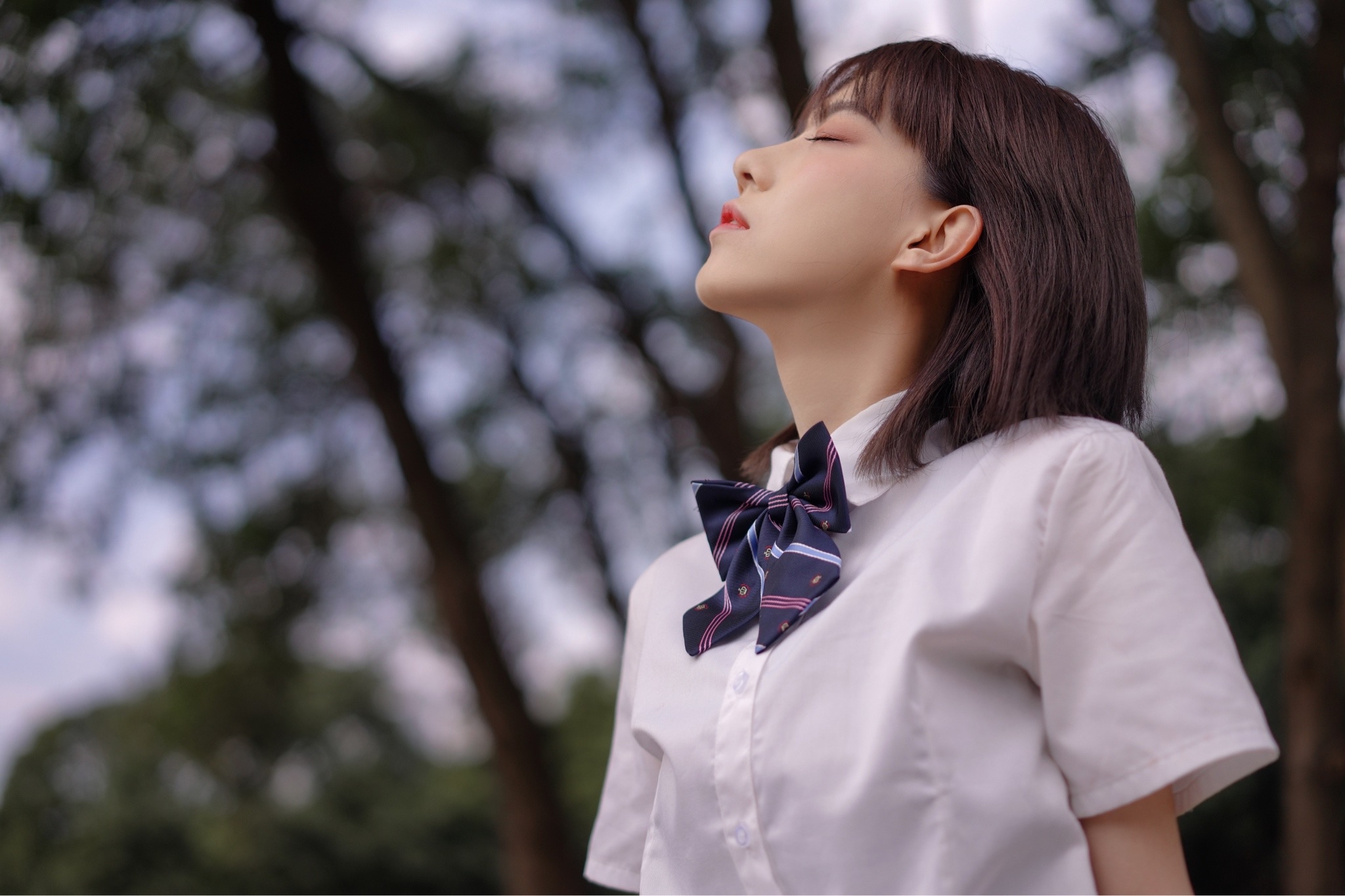 6340991a8a44f.png