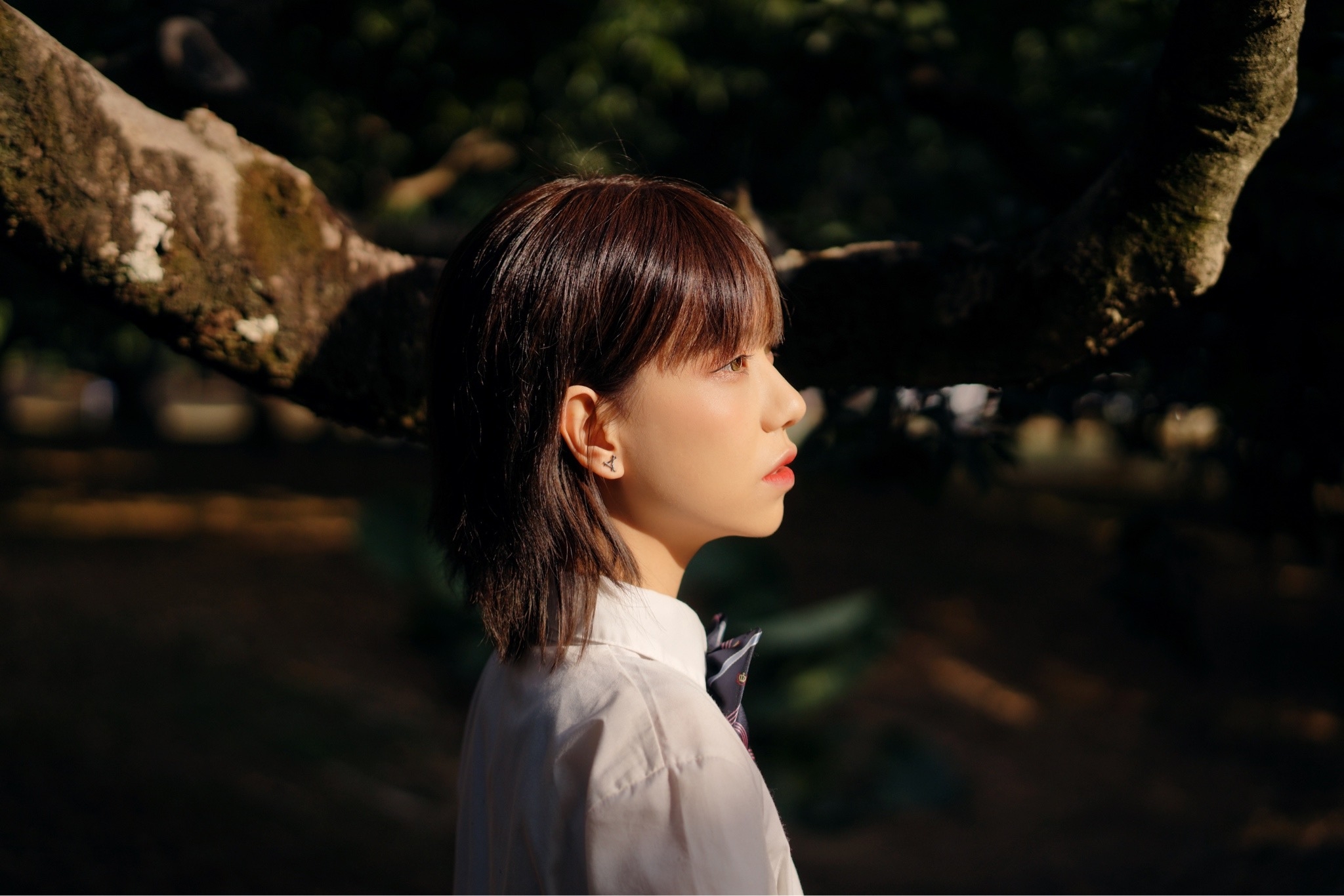 6340993087ef3.png