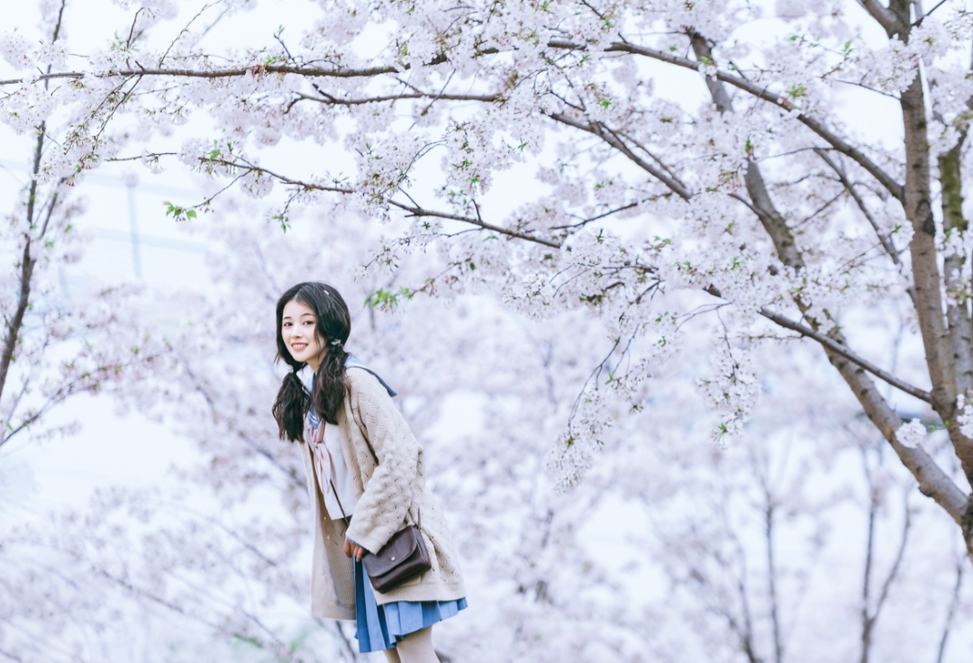 634991f180773.png