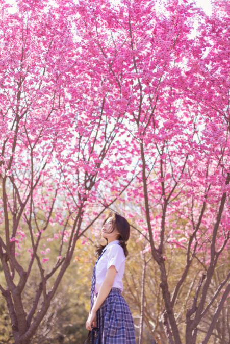 634b91361c646.png
